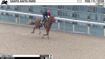 Cosmo Friday Worked 5 Furlongs in 1:02.20 at Santa Anita Park on February 11th, 2026