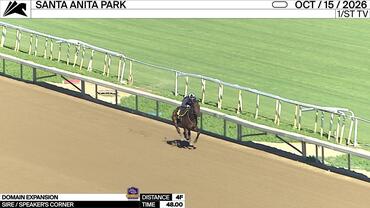Domain Expansion Worked 4 Furlongs in 48.00 at Santa Anita Park on October 15th, 2026