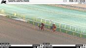 Dats Ms. Blame (Yellow Cap) and Decisive Win Worked 5 Furlongs at Santa Anita Park on February 21st, 2026