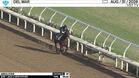 Absolution Worked 4 Furlongs in 48.20 at Del Mar on August 31st, 2026