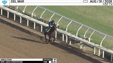 Absolution Worked 4 Furlongs in 48.20 at Del Mar on August 31st, 2026