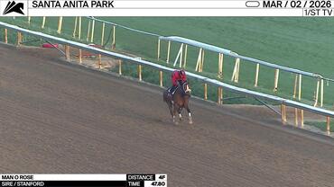 Man O Rose Worked 4 Furlongs in 47.80 at Santa Anita Park on March 2nd, 2026