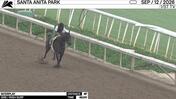 Interplay Worked 4 Furlongs in 49.00 at Santa Anita Park on September 12th, 2026