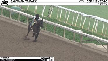 Interplay Worked 4 Furlongs in 49.00 at Santa Anita Park on September 12th, 2026