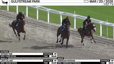 Sponge Time (Outside), American Popstar (Inside) and Lady Lullaby Worked 4 Furlongs at Gulfstream Park on March 20th, 2026