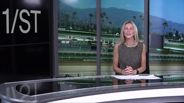 Preview of race 9, The Siren Lure Stakes  on May 10th, 2026