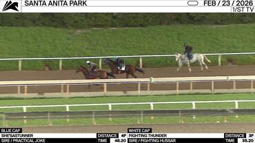 She'sastunner (Blue Cap) and Fighting Thunder Worked at Santa Anita Park on February 23rd, 2026