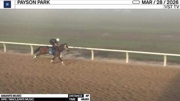 Amani's Music Worked 4 Furlongs in 49.80 at Payson Park on March 28th, 2026