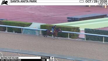 Waiting For You Worked 4 Furlongs in 48.40 at Santa Anita Park on October 29th, 2026