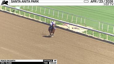 Peace On Earth Worked 5 Furlongs in 1:03.20 at Santa Anita Park on April 23rd, 2026