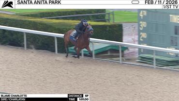 Blame Charlotte Worked 5 Furlongs in 1:01.00 at Santa Anita Park on February 11th, 2026