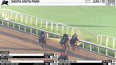 San Saba (Outside), Mirahmadi (Middle) and Savannahs Big Girl Worked at Santa Anita Park on June 13th, 2026
