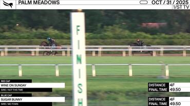 Wine On Sunday (Red Cap) and Sugar Bunny Worked 4 Furlongs in 49.50 at Palm Meadows on October 31st, 2025