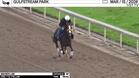 Wayne's Law Worked 5 Furlongs at Gulfstream Park on March 15th, 2026