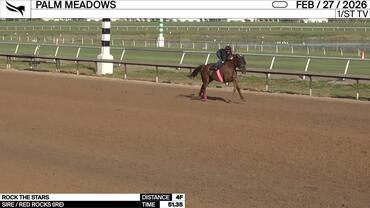 Rock the Stars Worked 4 Furlongs in 51.35 at Palm Meadows on February 27th, 2026