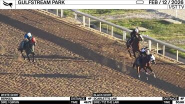 Berkiea (White Shirt) and Scarlett's Law Worked 4 Furlongs at Gulfstream Park on February 12th, 2026