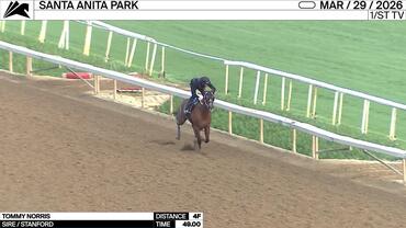 Tommy Norris Worked 4 Furlongs in 49.00 at Santa Anita Park on March 29th, 2026