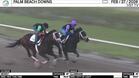 Nearly (Outside) and Illuminare Worked 4 Furlongs in 50.17 at Palm Beach Downs on February 27th, 2026