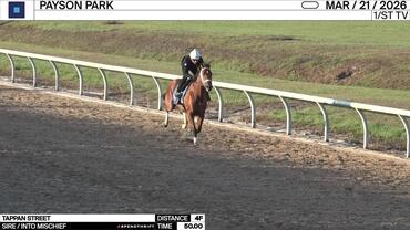 Tappan Street Worked 4 Furlongs in 50.00 at Payson Park on March 21st, 2026