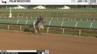 Jestina Worked 4 Furlongs in 48.95 at Palm Meadows on January 24th, 2026