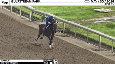 Sunroof Worked 4 Furlongs in 48.40 at Gulfstream Park on May 30th, 2026