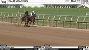 An Unnamed Horse out of the Dam Sotique (Outside) and Issachar Worked 3 Furlongs in 39.75 at Palm Meadows on March 11th, 2026