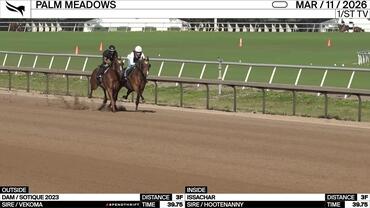 An Unnamed Horse out of the Dam Sotique (Outside) and Issachar Worked 3 Furlongs in 39.75 at Palm Meadows on March 11th, 2026