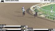 Scorpy (Gray), Peace On Earth (Bay) and After Dawn (Chestnut) Worked at Santa Anita Park on April 16th, 2026