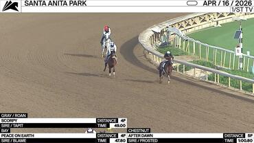 Scorpy (Gray), Peace On Earth (Bay) and After Dawn (Chestnut) Worked at Santa Anita Park on April 16th, 2026