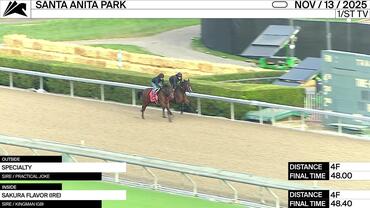 Specialty (Outside) and Sakura Flavor Worked 4 Furlongs at Santa Anita Park on November 13th, 2025