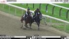 Mischief Time (Outside) and Legislation Worked 4 Furlongs in 48.48 at Saratoga on August 23rd, 2026