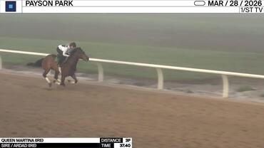 Queen Martina Worked 3 Furlongs in 37.40 at Payson Park on March 28th, 2026