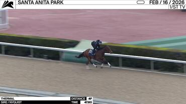 Thermal Worked 4 Furlongs in 47.60 at Santa Anita Park on February 16th, 2026