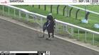 Libby Lloyd Worked 4 Furlongs in 49.45 at Saratoga on September 6th, 2026
