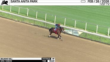 Belmont Bill Worked 4 Furlongs in 50.20 at Santa Anita Park on February 26th, 2026