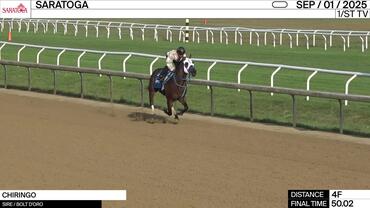 Chiringo Worked 4 Furlongs in 50.02 at Saratoga on September 1st, 2025