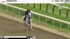 Suerte Worked 4 Furlongs in 51.28 at Saratoga on August 30th, 2026