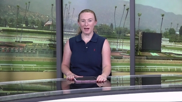 Preview of race 10 The Bowling Green Stakes on July 11th, 2026