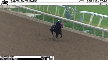 Melanie's Tiger Worked 4 Furlongs in 51.00 at Santa Anita Park on September 13th, 2026
