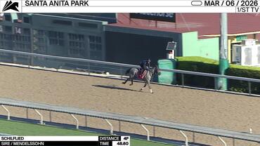 Schilflied Worked 4 Furlongs in 48.60 at Santa Anita Park on March 6th, 2026
