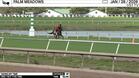 Taking My Time Worked 4 Furlongs in 52.55 at Palm Meadows on January 28th, 2026