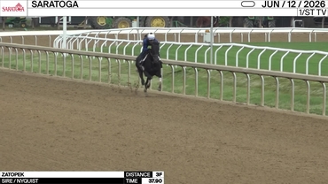 short_Zatopek (Nyquist)_Chad Brown_SAR_260612
