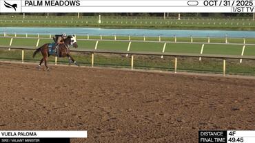 Vuela Paloma Worked 4 Furlongs in 49.45 at Palm Meadows on October 31st, 2025