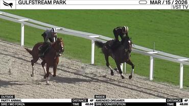 Party Animal (Outside) and Amended Dreamer Worked 4 Furlongs in 48.66 at Gulfstream Park on March 15th, 2026