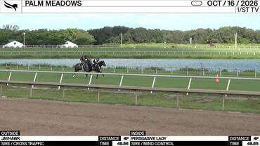 Jayhawk (Outside) and Persuasive Lady Worked 4 Furlongs at Palm Meadows on October 16th, 2026