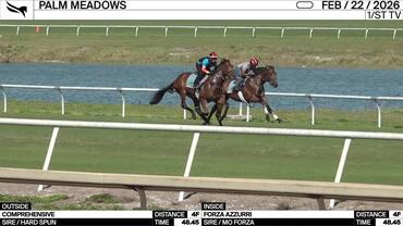 Comprehensive (Outside) and Forza Azzurri Worked 4 Furlongs in 48.45 at Palm Meadows on February 22nd, 2026