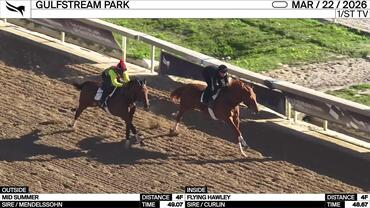 Mid Summer (Outside) and Flying Hawley Worked 4 Furlongs at Gulfstream Park on March 22nd, 2026