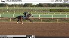 Bentornato Worked 3 Furlongs in 38.35 at Palm Meadows on January 24th, 2026