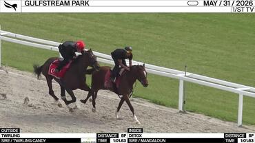 Twirling (Outside) and Detox Worked 5 Furlongs in 1:01.63 at Gulfstream Park on May 31st, 2026