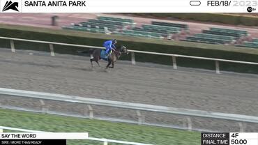 Say the Word Worked 4 Furlongs in 50.00 at Santa Anita Park on February 18th, 2023